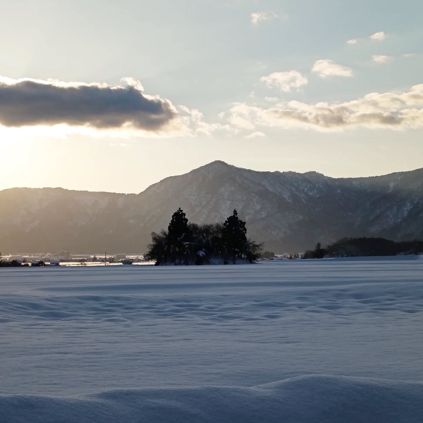 久々の晴れ空。
