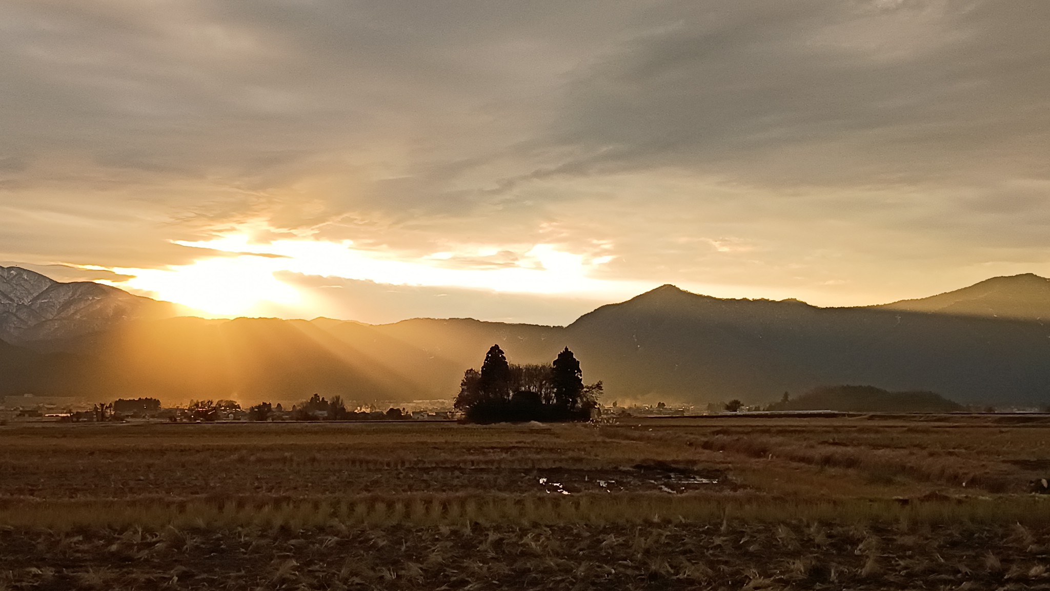 【宿状況12/11】
荒島愛山会忘年会のため宿入り。
小春日和。